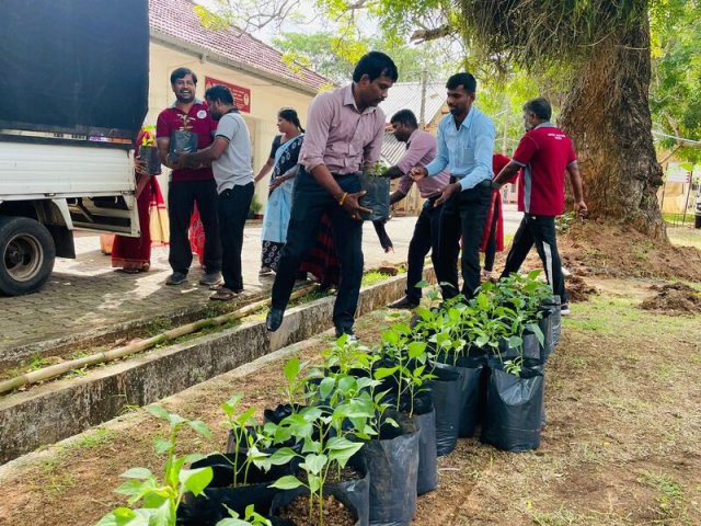 Home Gardening at Vavuniya District Secretariat-25.08.2022